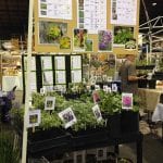 Spring Garden Fair-KSNS Booth