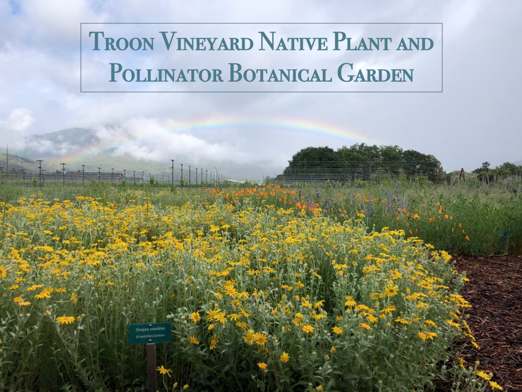 Creating the Troon Vineyard Native Plant & Pollinator Botanical Garden ...